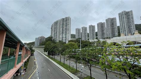 豪景花園風水|青龍頭豪景花園值買來自住嗎